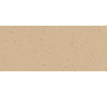 1102 Шампань granite