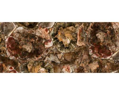 8330 Petrified Wood, Concetto
